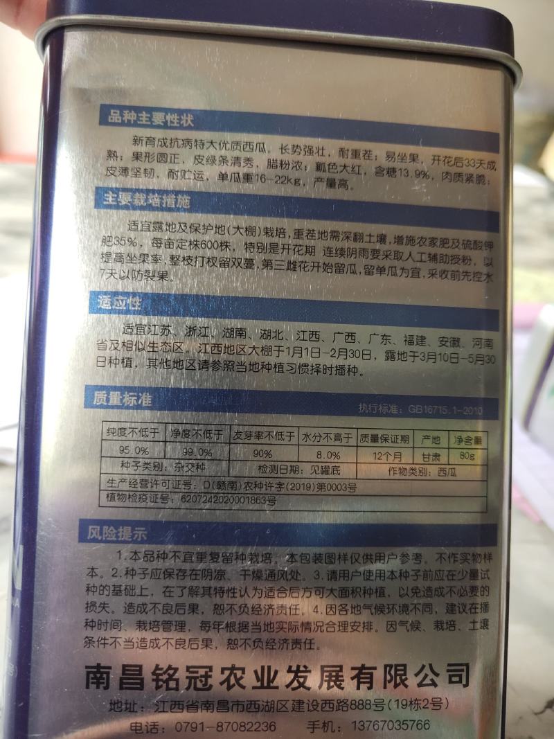 红甜蜜特大优质西瓜种子，易坐果，皮绿，瓤色大红，皮薄坚韧