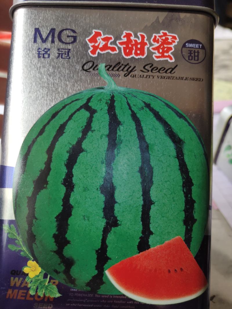 红甜蜜特大优质西瓜种子，易坐果，皮绿，瓤色大红，皮薄坚韧