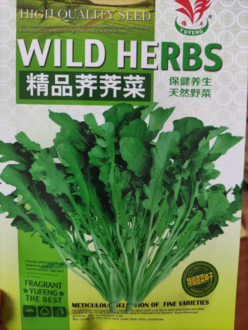 天然荠荠菜种子，500克