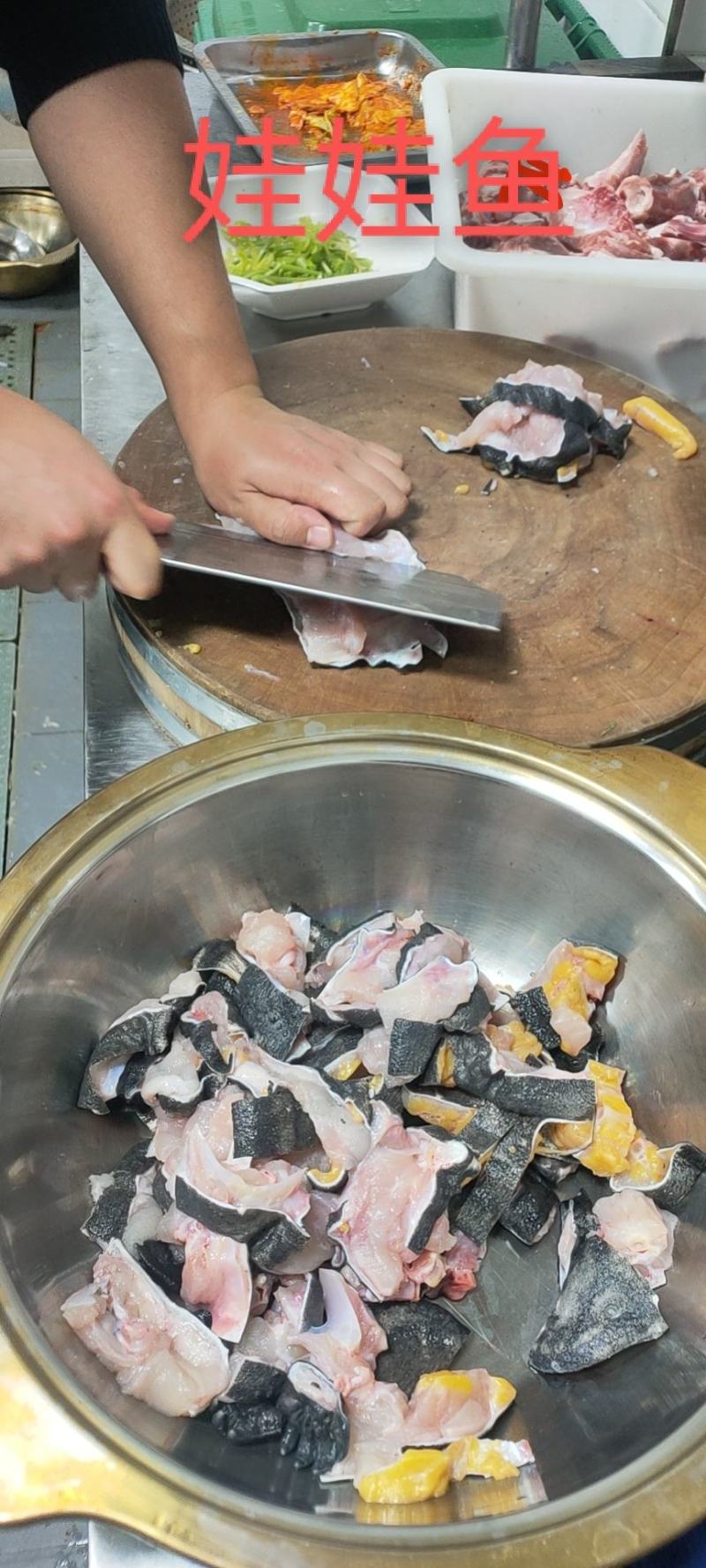 娃娃鱼鲜活水产包活到家有需要的大家跟我联系大鲵批发市场价