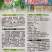 美甜九号甜瓜种子，100粒