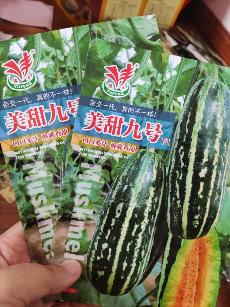 美甜九号甜瓜种子，100粒