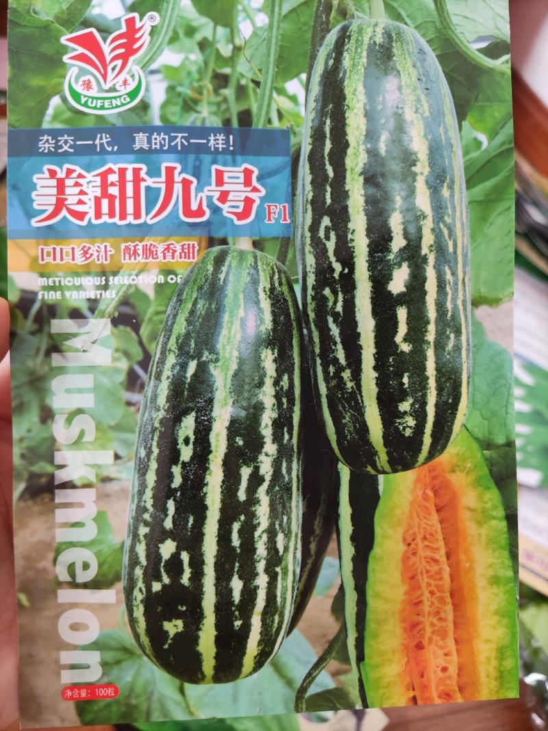 美甜九号甜瓜种子，100粒