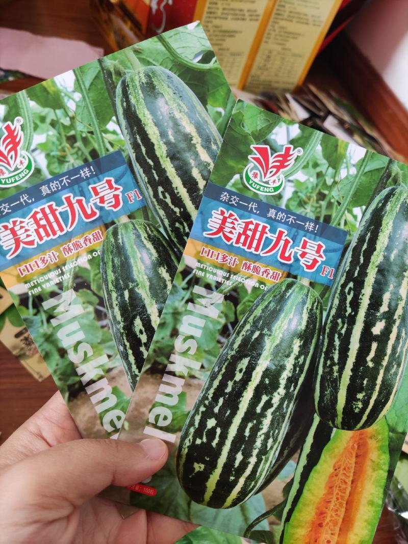 美甜九号甜瓜种子，100粒