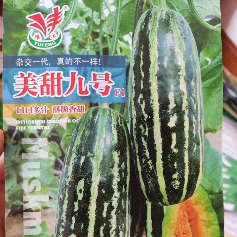 美甜九号甜瓜种子，100粒