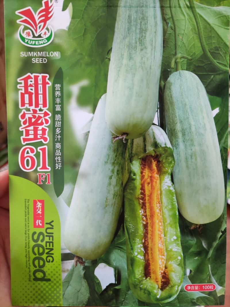 甜蜜61甜瓜种子100粒
