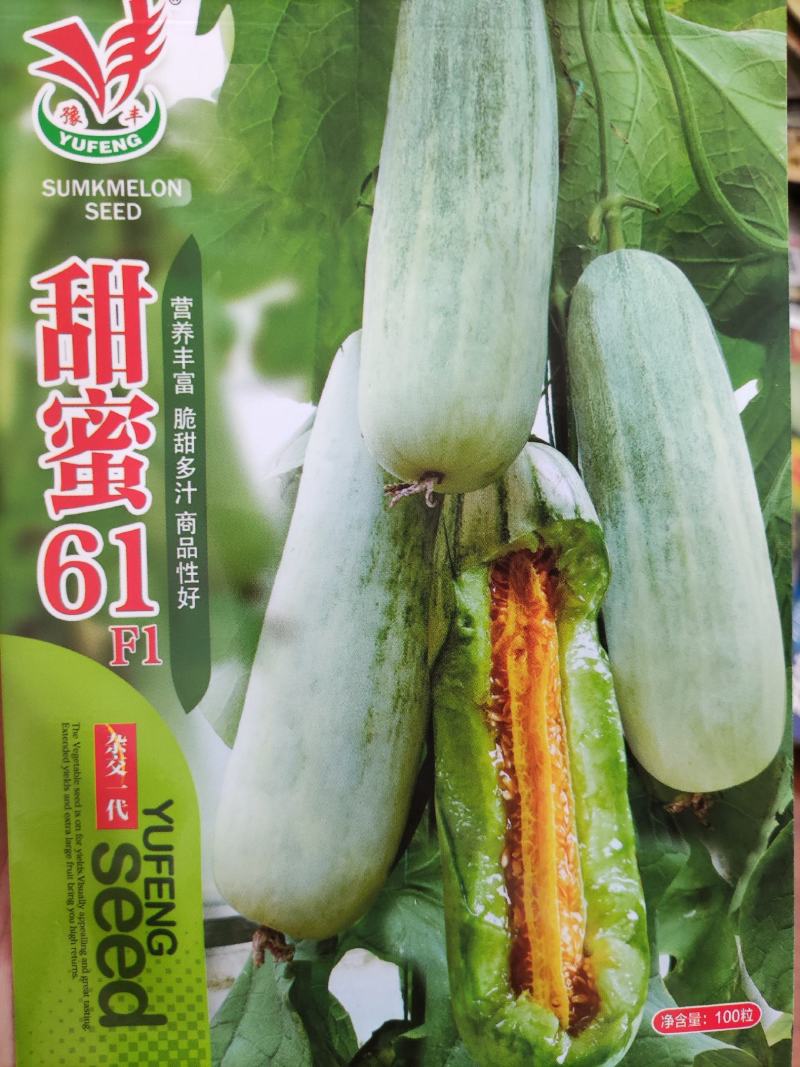 甜蜜61甜瓜种子100粒