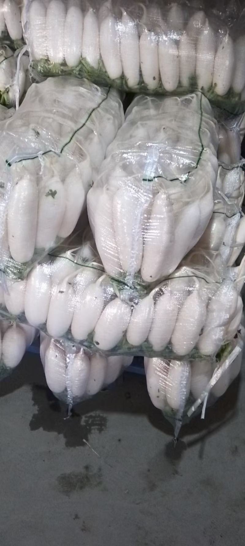 优质水洗白