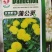 天然野生蒲公英种子