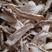 山海螺，野生羊乳根四叶参切片，质量保证量大从优！