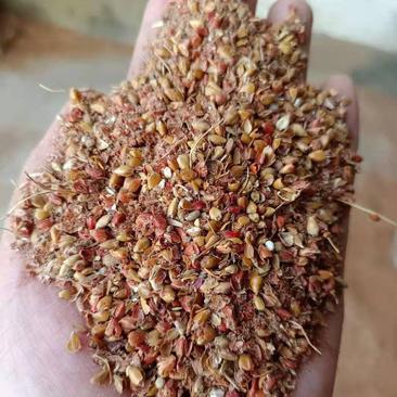 内蒙高粱糠，含碎粮，烘干过夏，干净无土，性价比高