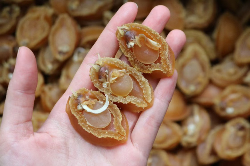 鲍鱼干海鲜干货生鲜海产品水产批发新鲜即食福跳墙煲汤贝类
