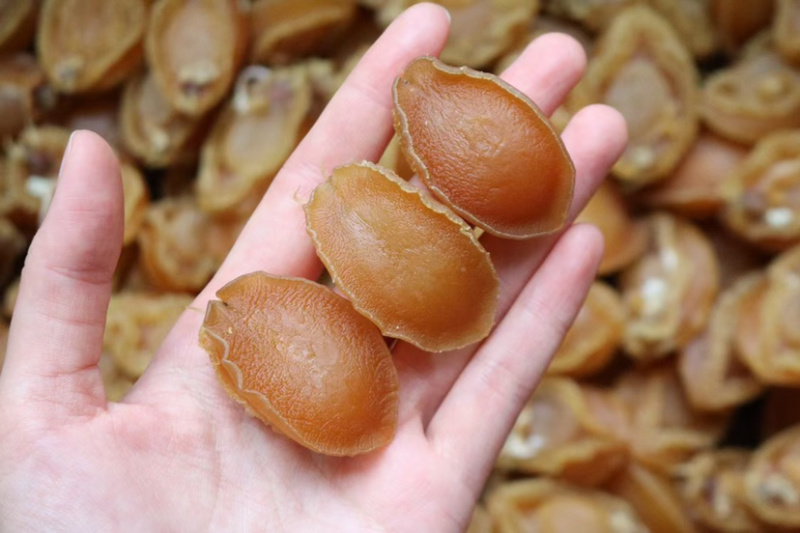 鲍鱼干海鲜干货生鲜海产品水产批发新鲜即食福跳墙煲汤贝类