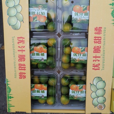 脆皮金桔，特果爆甜