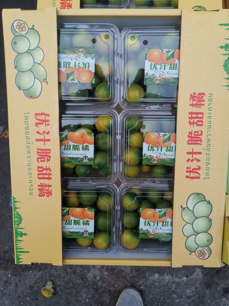 脆皮金桔，特果爆甜