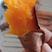 【河北西瓜红】河北红薯大量上市软糯香甜可视频看货