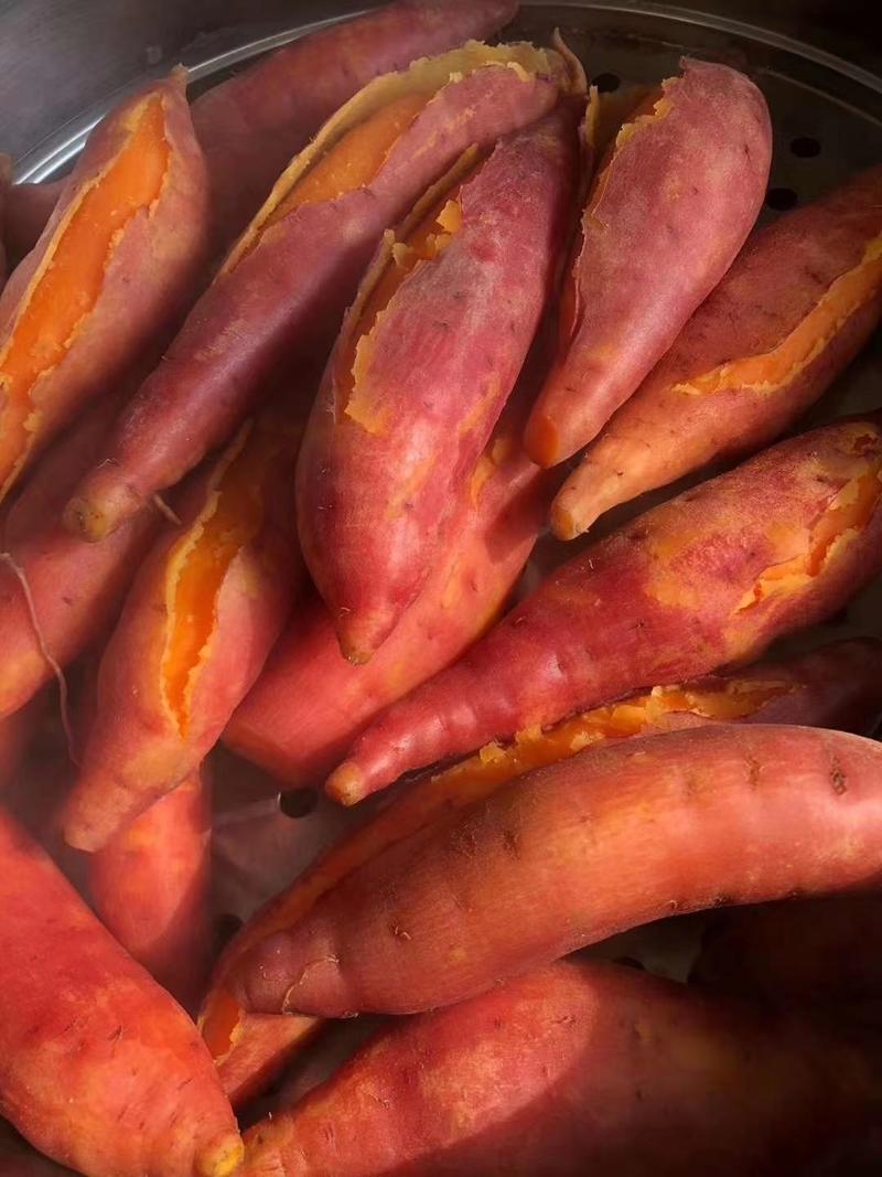 【河北西瓜红】河北红薯大量上市软糯香甜可视频看货