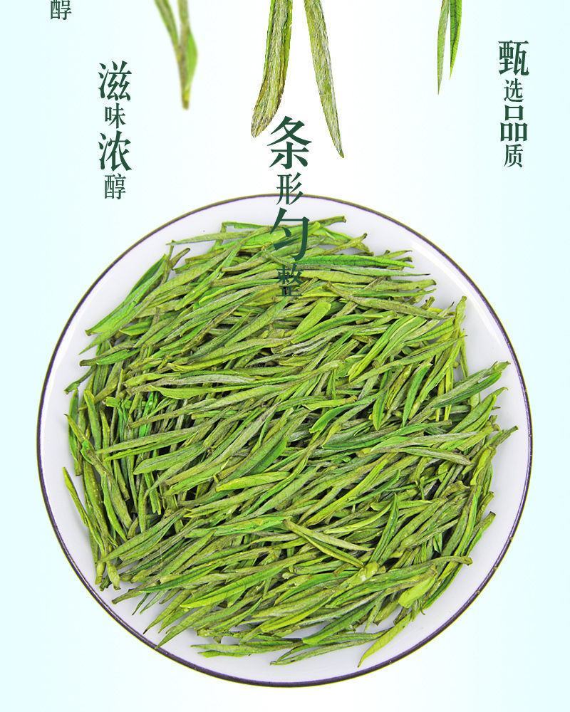 安吉白茶安吉高山白茶农场直销2026明前安吉高山白