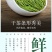 安吉白茶安吉高山白茶农场直销2026明前安吉高山白