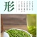安吉白茶安吉高山白茶农场直销2026明前安吉高山白