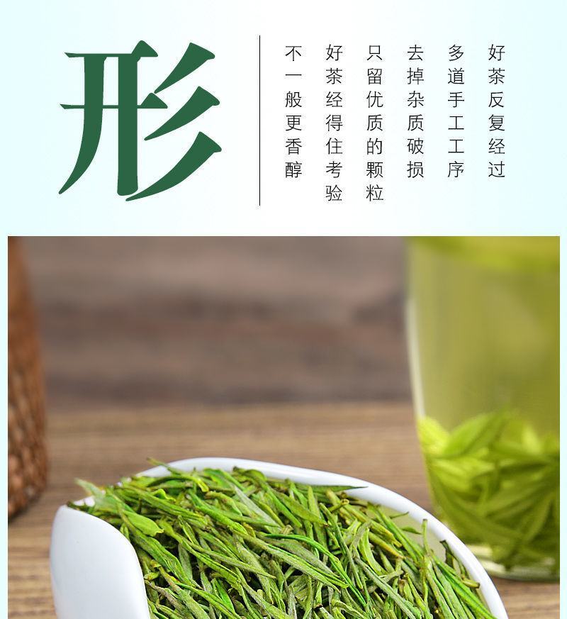 安吉白茶安吉高山白茶农场直销2026明前安吉高山白
