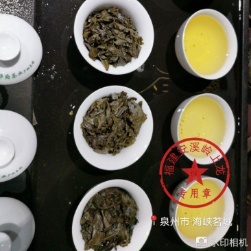 岭上龙散装安溪炭焙浓香型中火铁观音茶叶自产自销量多价优