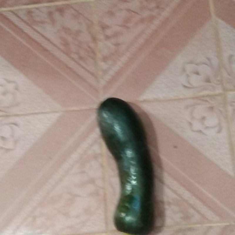 精品鲜南瓜