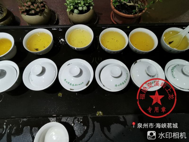 岭上龙散装安溪炭焙浓香型中火铁观音茶叶自产自销量多价优