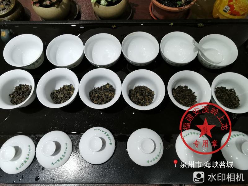岭上龙散装安溪炭焙浓香型中火铁观音茶叶自产自销量多价优