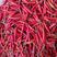 湛江产海花红美人椒，大量上市，供应中，全国接单，全球供应