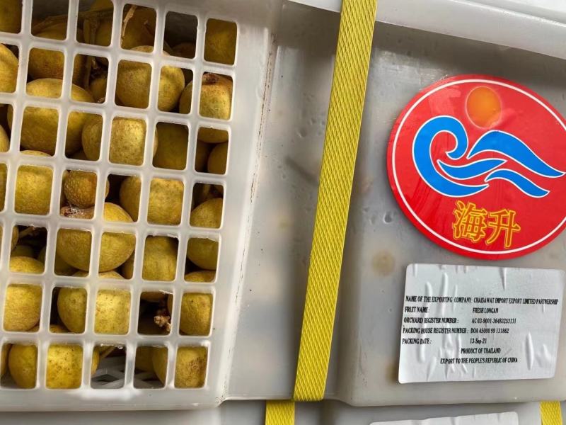 泰国新鲜带枝龙眼