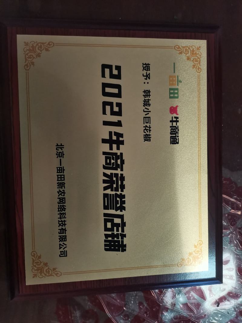 【大红袍花椒】陕西韩城二级花椒/香麻一手货源/保质全国发货