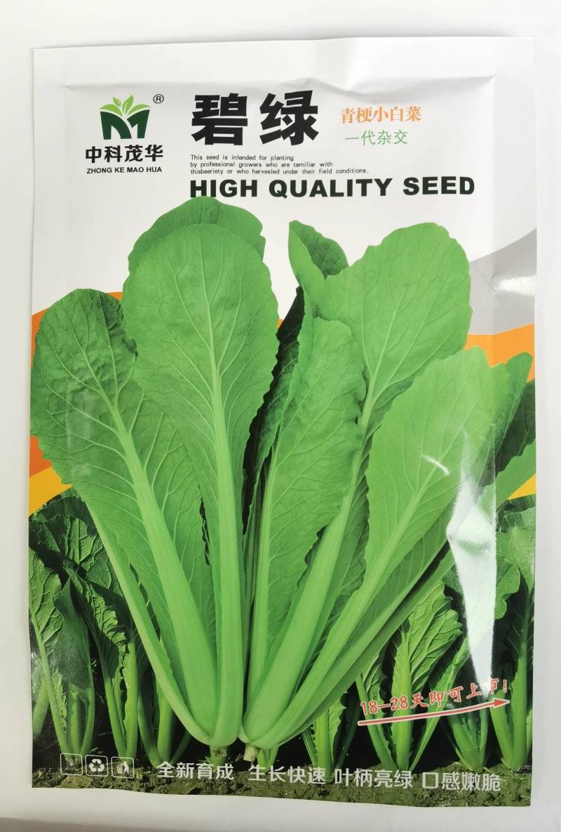 绿叶绿帮青梗小白菜种子碧绿快菜耐热耐湿20天上市无毛