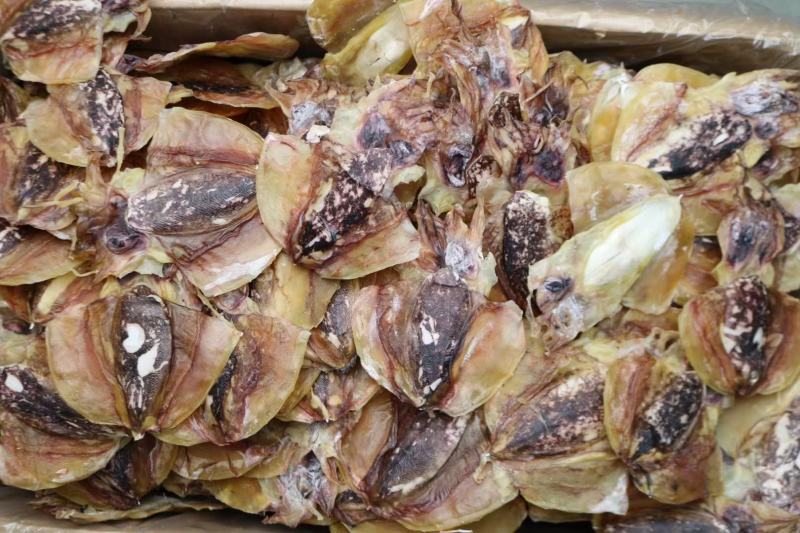 20头特级北海干淡墨鱼干特级淡干货几乎是足干货耐放不会变