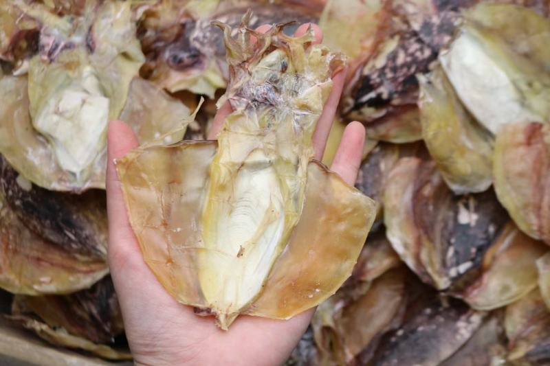 20头特级北海干淡墨鱼干特级淡干货几乎是足干货耐放不会变