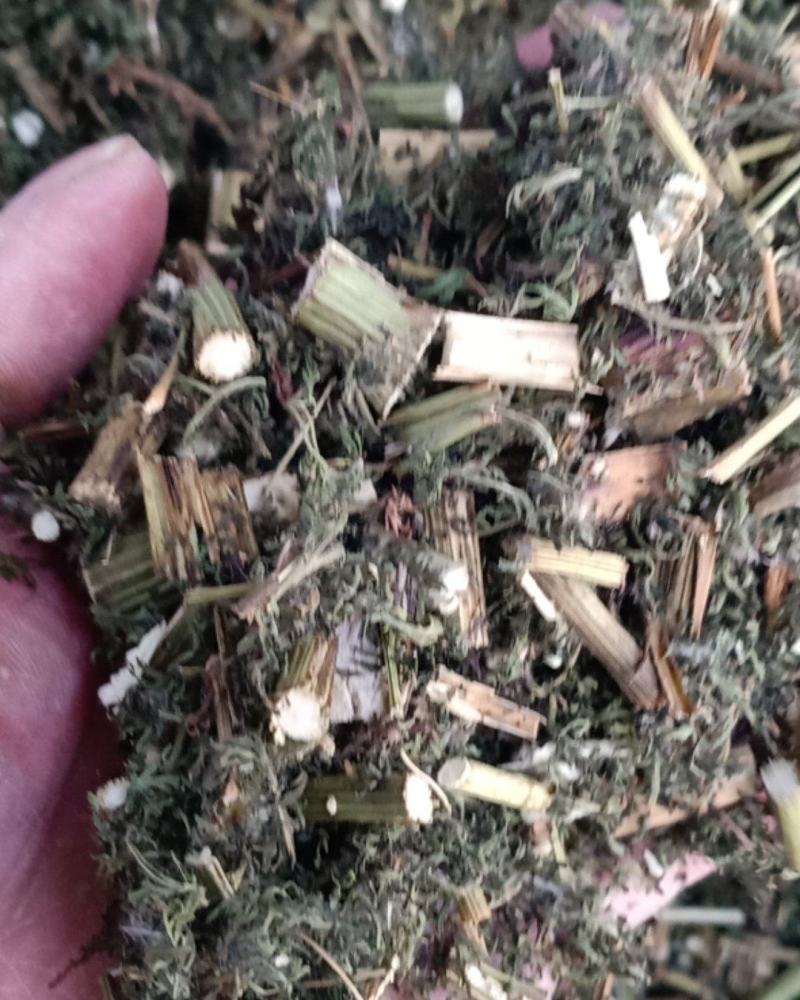 青蒿，正品野生青蒿新货质量保证，经营各种中药材欢迎选购