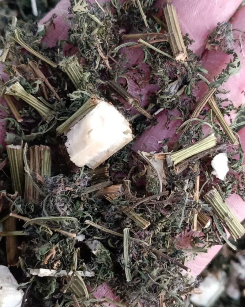 青蒿，正品野生青蒿新货质量保证，经营各种中药材欢迎选购