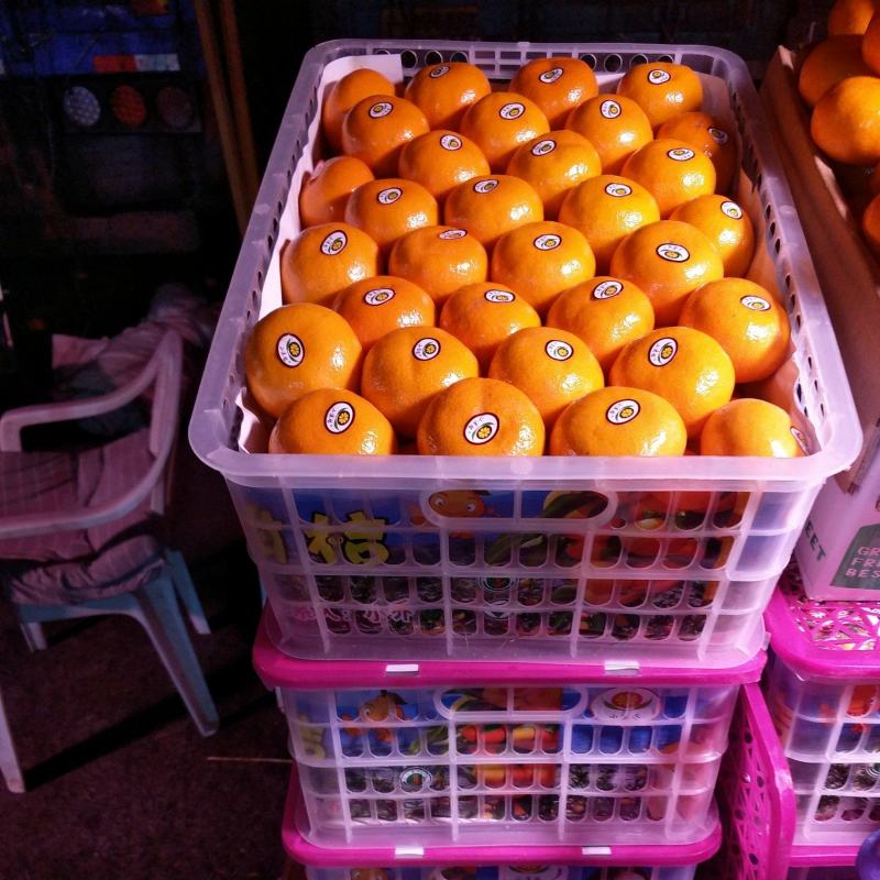 蜜橘