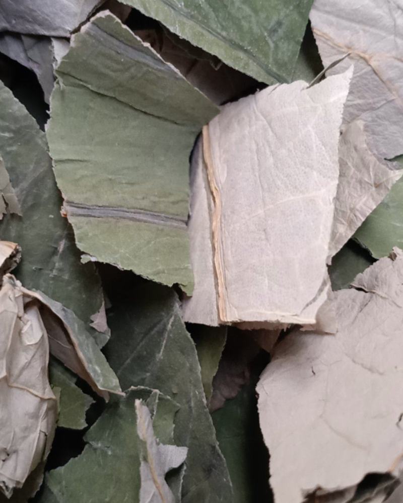 荷叶，中药材青荷叶四方块质量保证经营各种中药材！