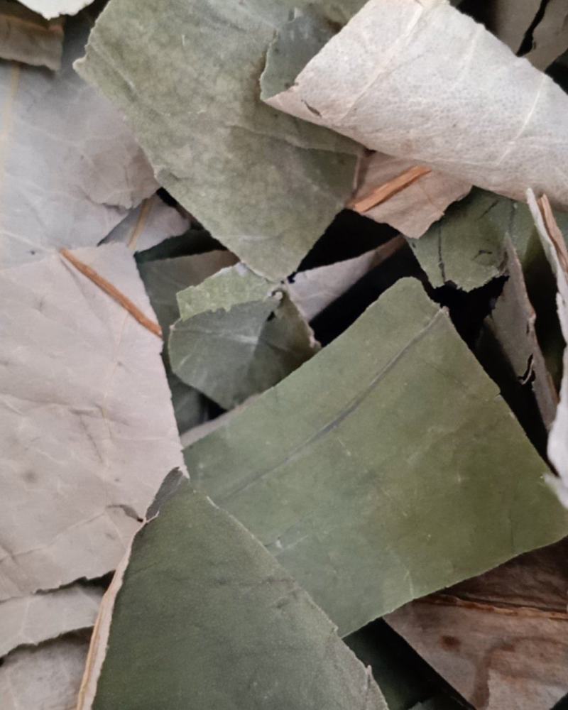 荷叶，中药材青荷叶四方块质量保证经营各种中药材！