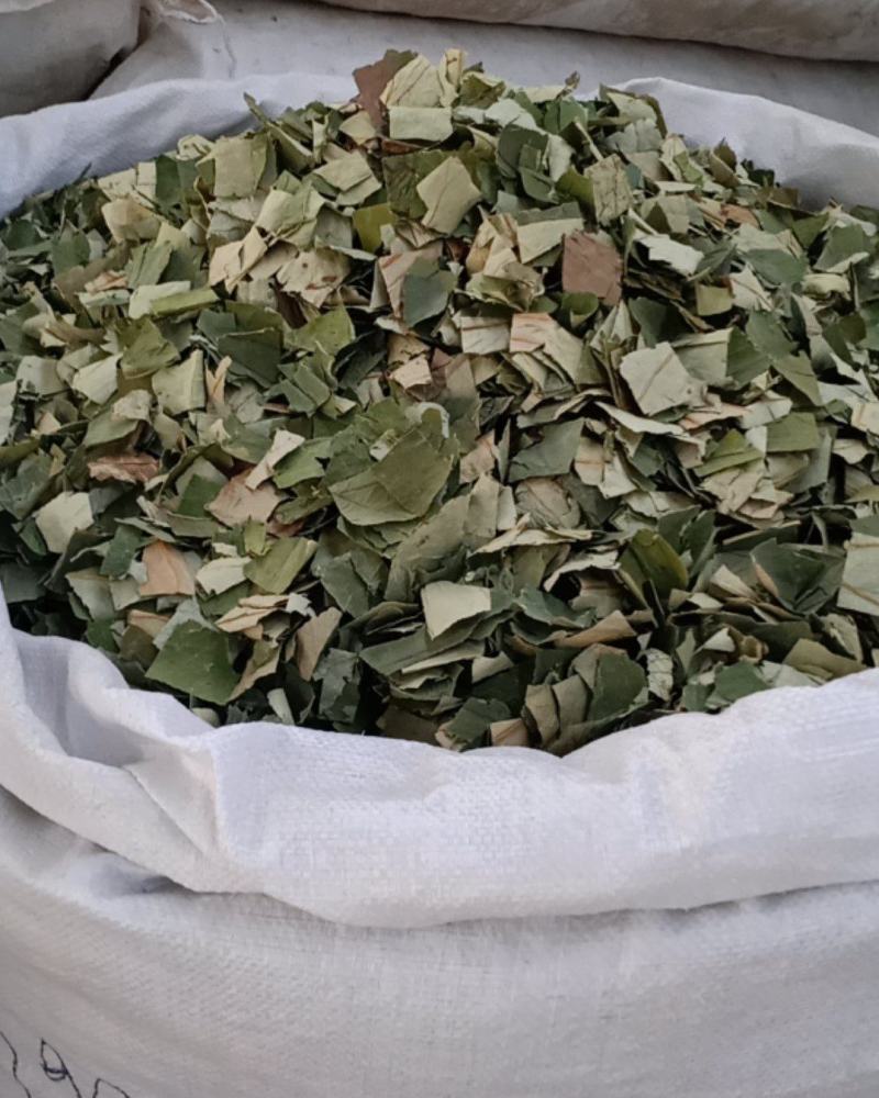 荷叶，中药材青荷叶四方块质量保证经营各种中药材！