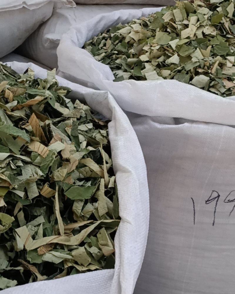 荷叶，中药材青荷叶四方块质量保证经营各种中药材！