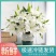 云南昆明百合花白百合，产地直发，现摘现发，西伯利亚