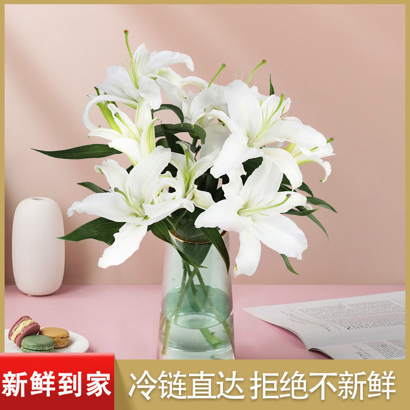 云南昆明百合花白百合，产地直发，现摘现发，西伯利亚