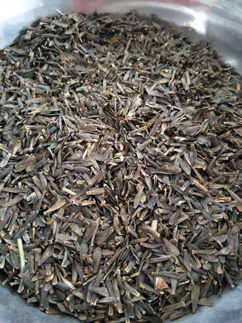 小丽花种子混色春季播种开花多年生花种绿化庭院阳台花卉盆栽