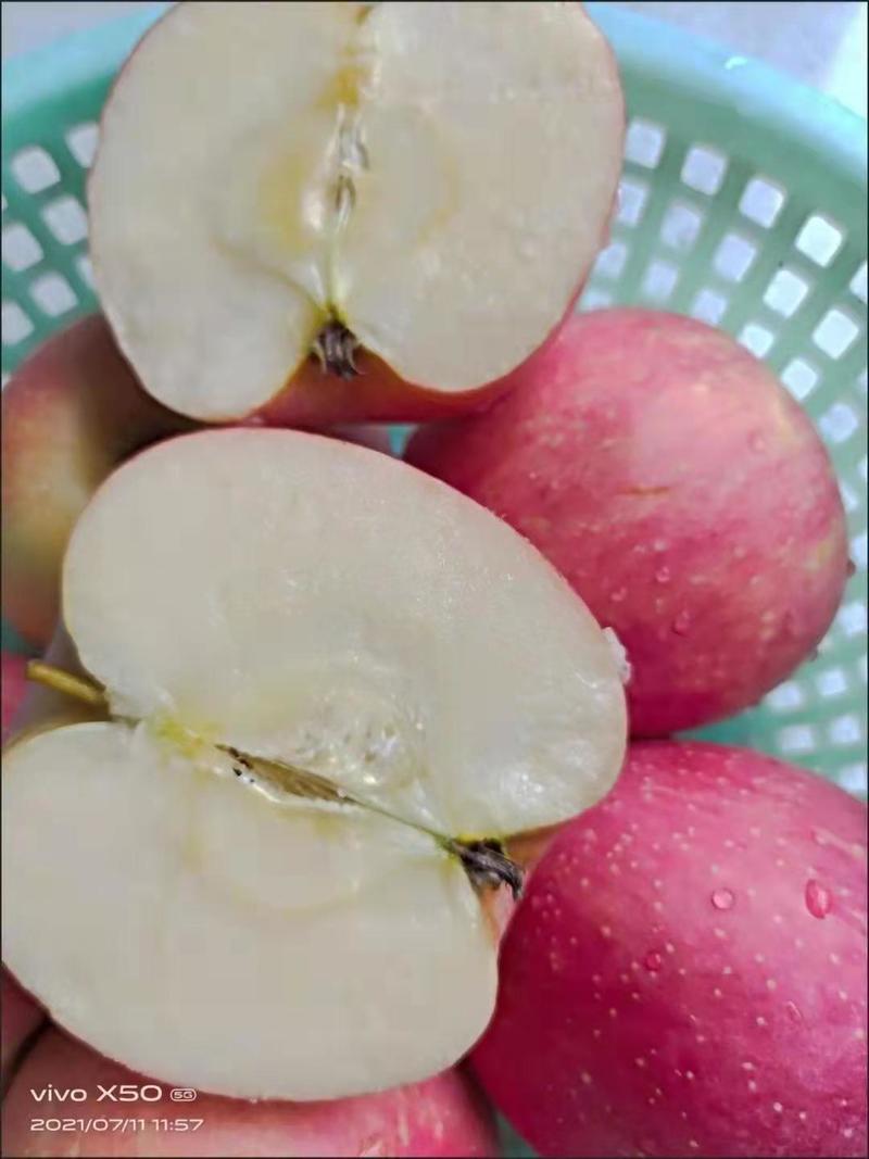 甘肃平凉静宁泾川红富士苹果新鲜水果十斤全国包邮一件代发