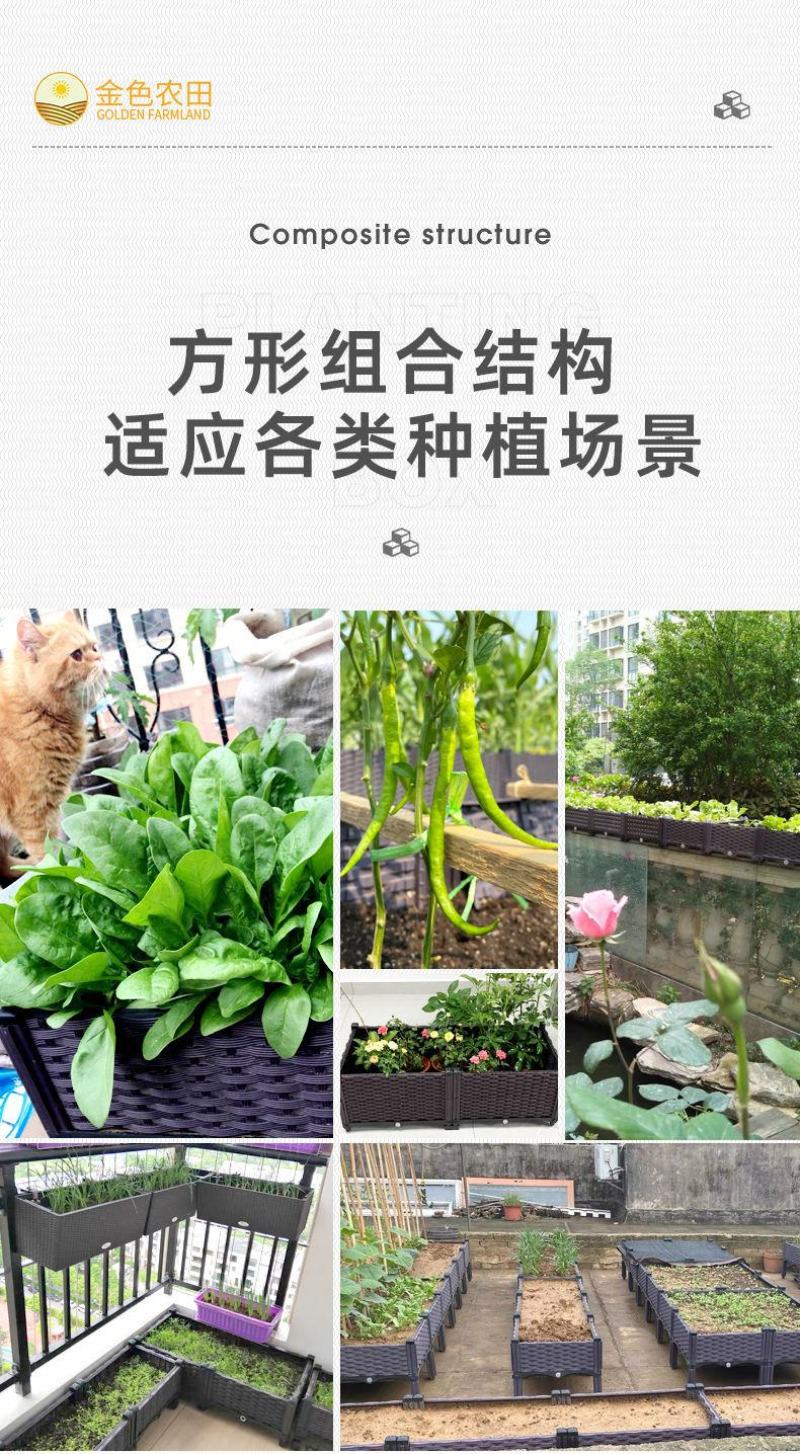 家庭阳台种植箱家用种菜盆长方形蔬菜盆特大号菜园庭院楼房顶