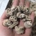 藕节药用农副产品不满意可退换换货只卖正品