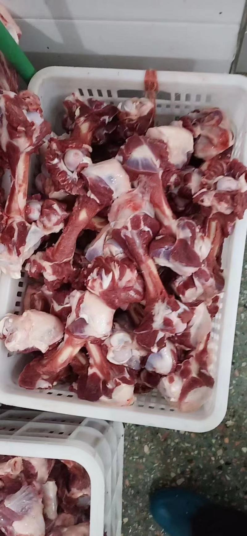 本地加肉羊棒骨，冷链物流发货方便快捷