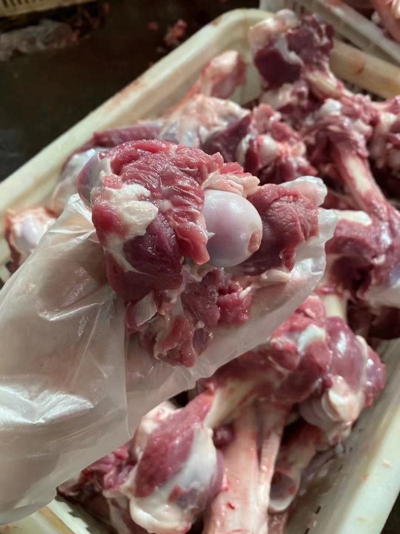 本地加肉羊棒骨，冷链物流发货方便快捷